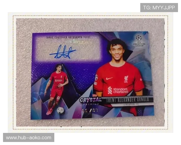 世界杯足球马赛克球星卡珍藏版揭秘全球球星风采与赛场荣耀